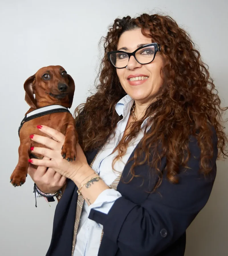 knino-veterinari-cervello54