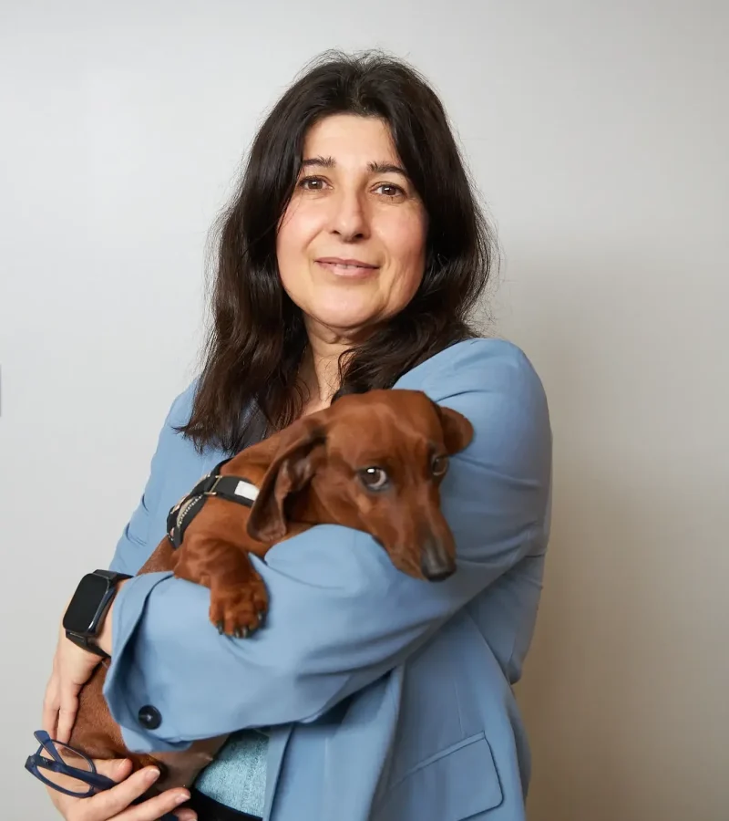 knino-veterinari-cervello91